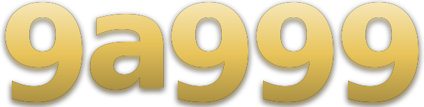 9a999 logo